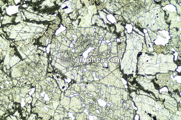 Eclogite LPNA x4 - gryphea.org